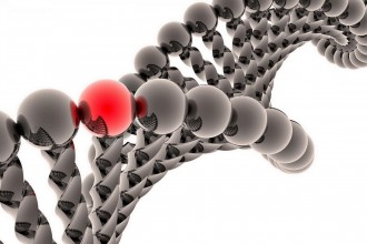 Say Goodbye to USB sticks: Scientists Found a Way to Store Data on Your DNA