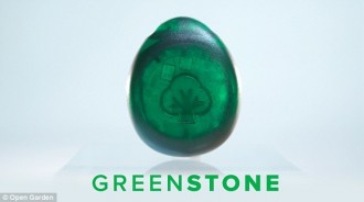 Greenstone: This Device Will Let You Message Friends Even Without Any Signal